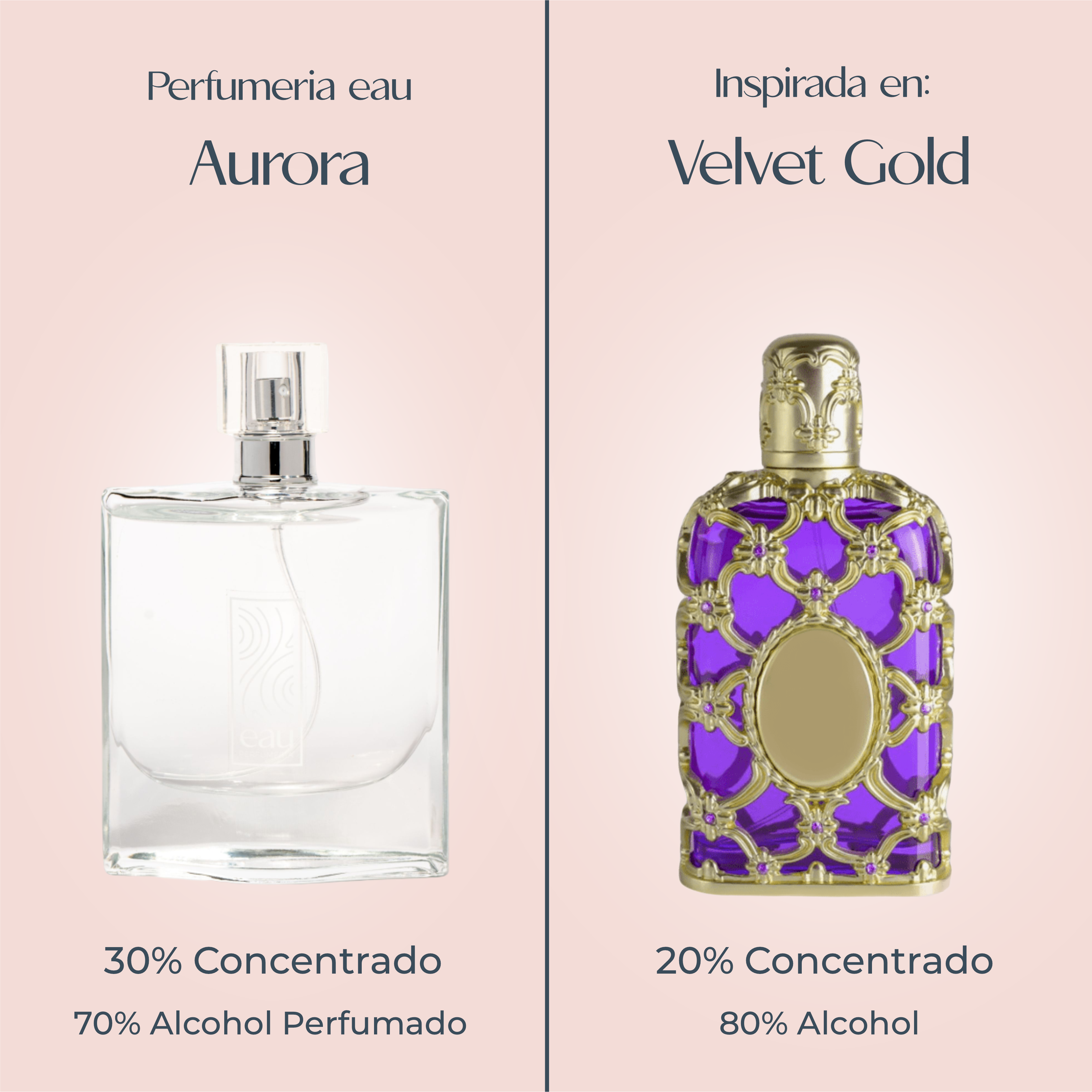 Perfume Aurora inspirado en VELVET GOLD de ORIENTICA