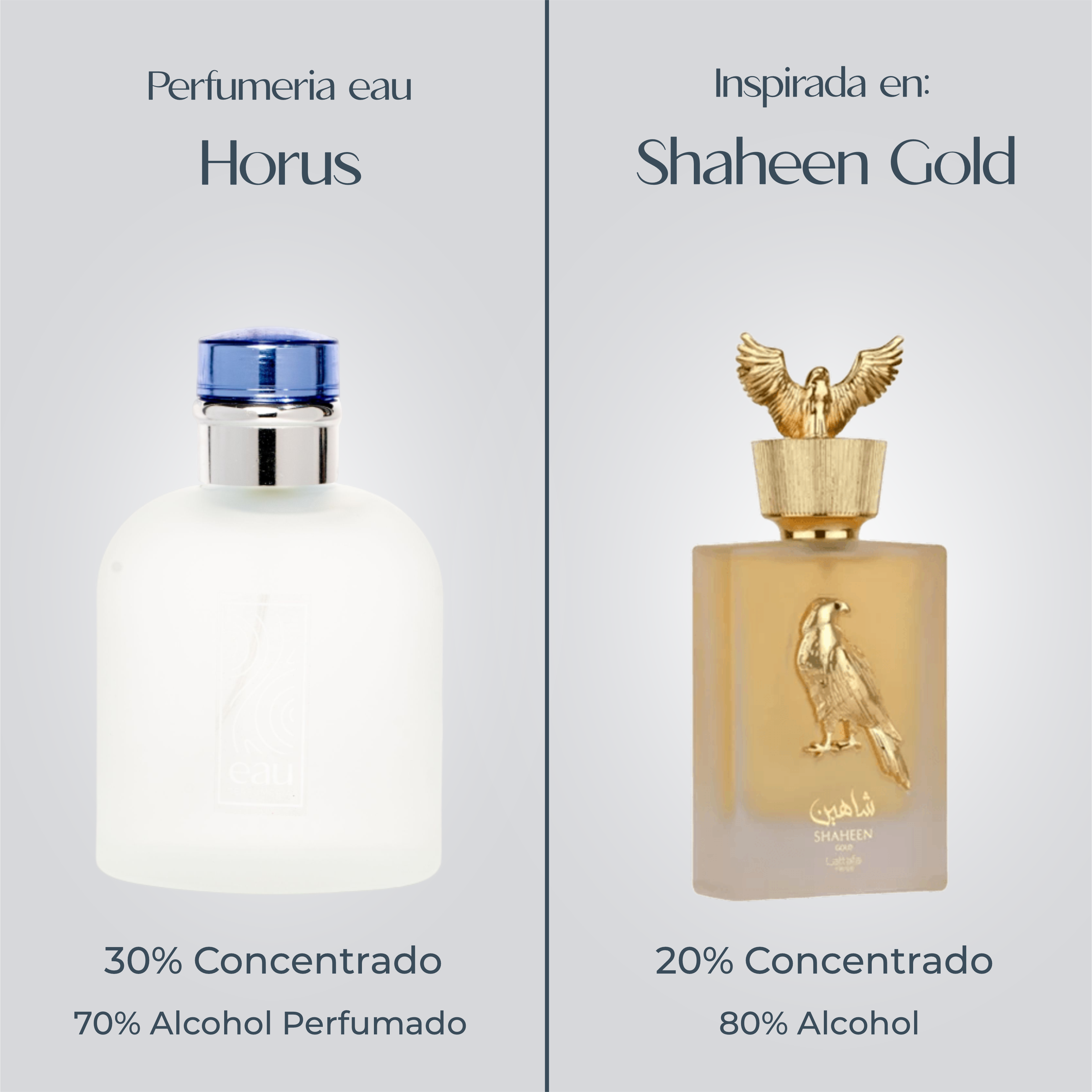 Perfume Horus Inspirada En SHAHEEN GOLD de LATTAFA